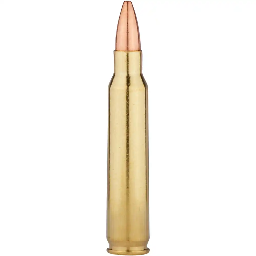 BARNES Vor-TX TTSX Euro .308 Win. 10,9g/168gr